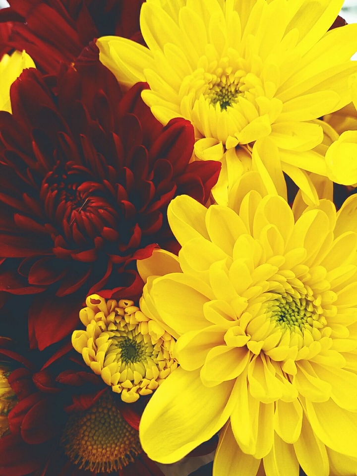 Yellow & red