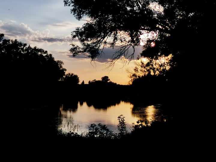 nature