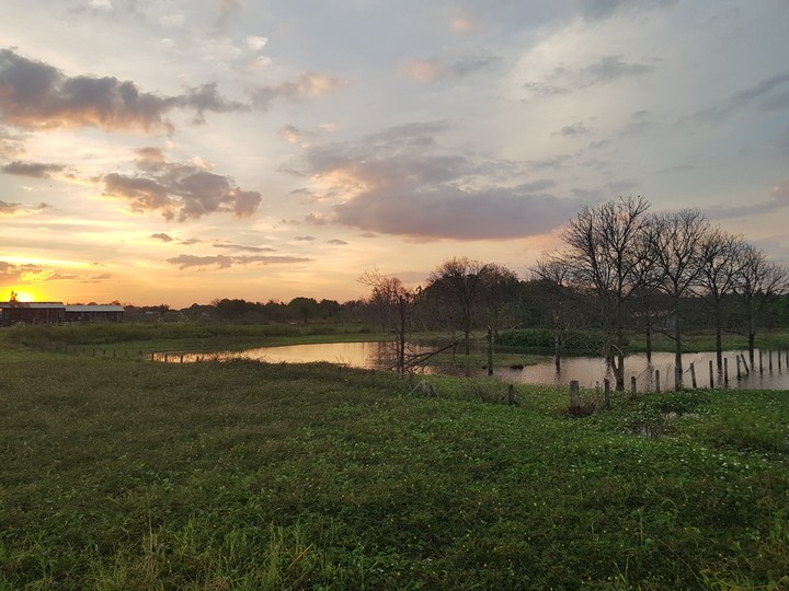 Sunset View