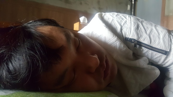 바보