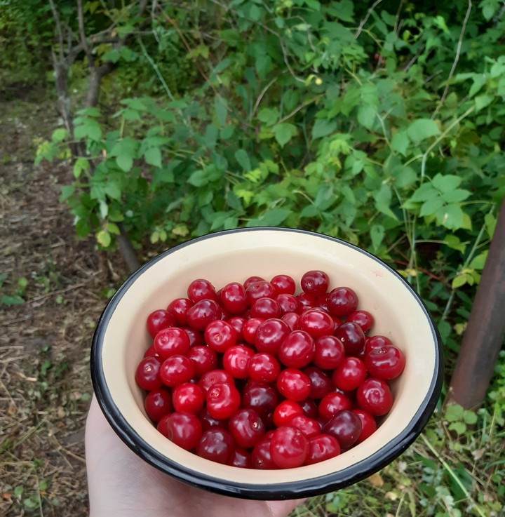 That's what a good summer means/Вот, что значит хорошее лето