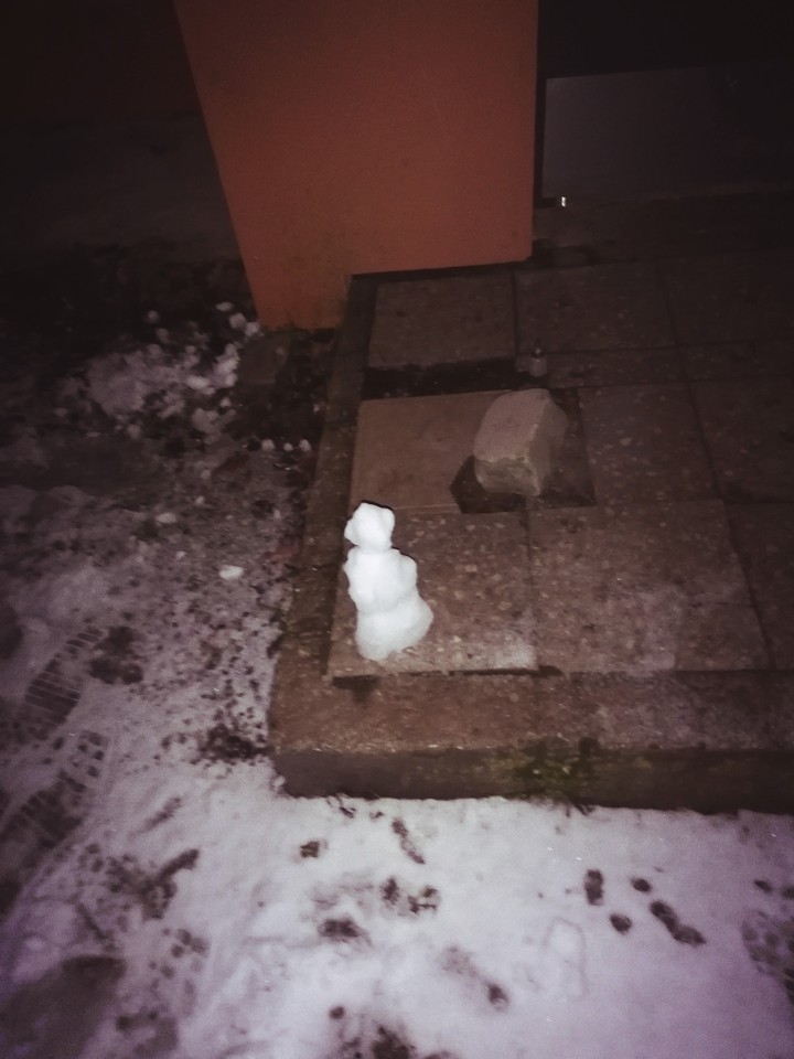 A little snowman ⛄