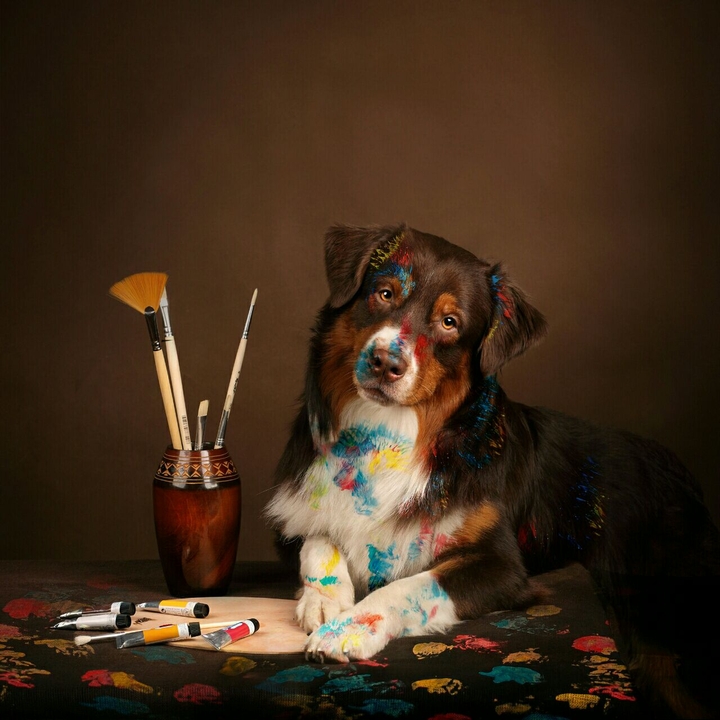 tiere