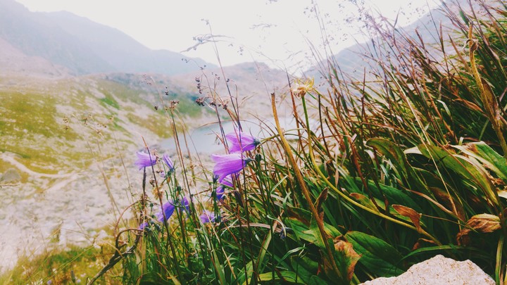Tatra