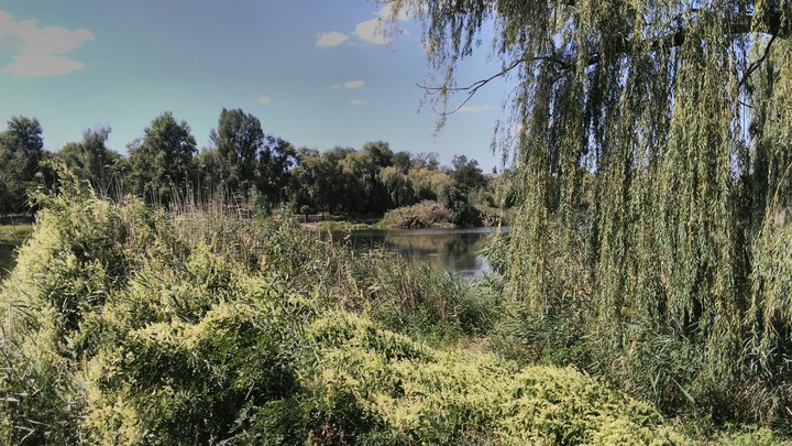 nature