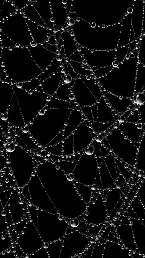 Close-up, drop háttérképek