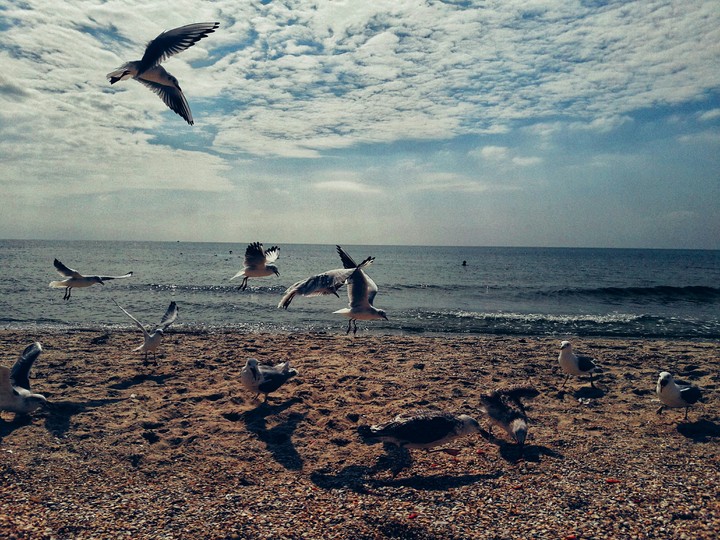 Black Sea views