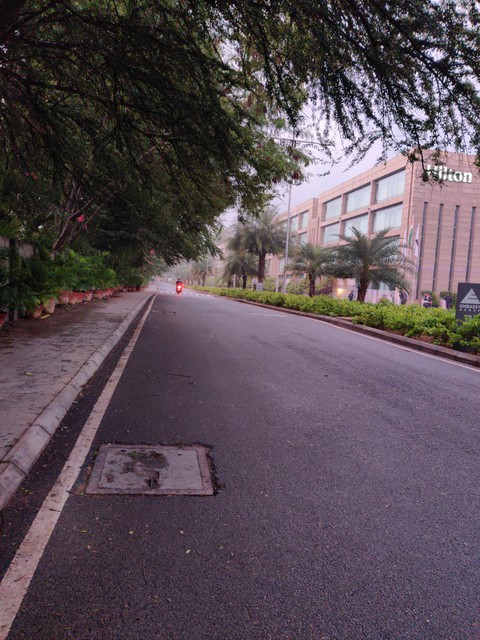 Early Morning