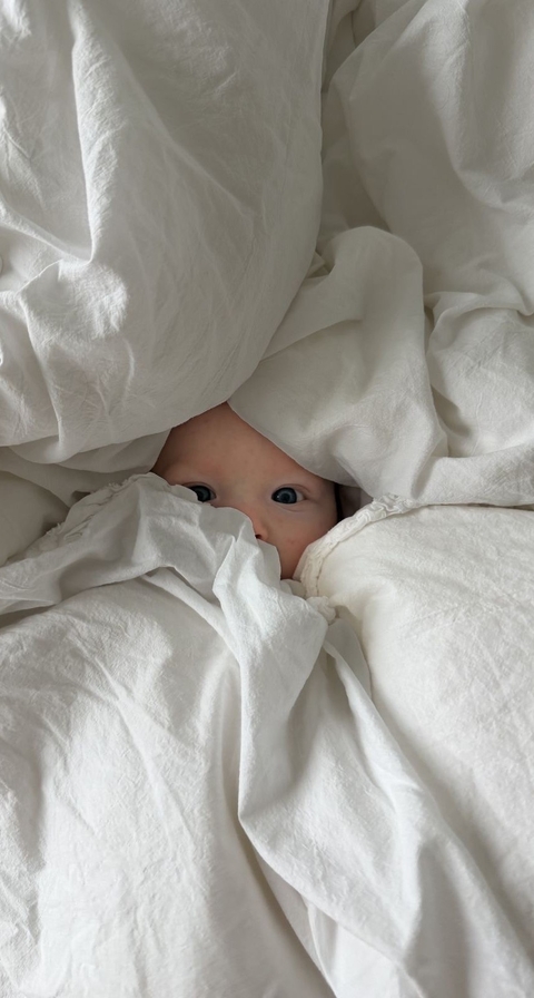 Duvet, linens壁紙