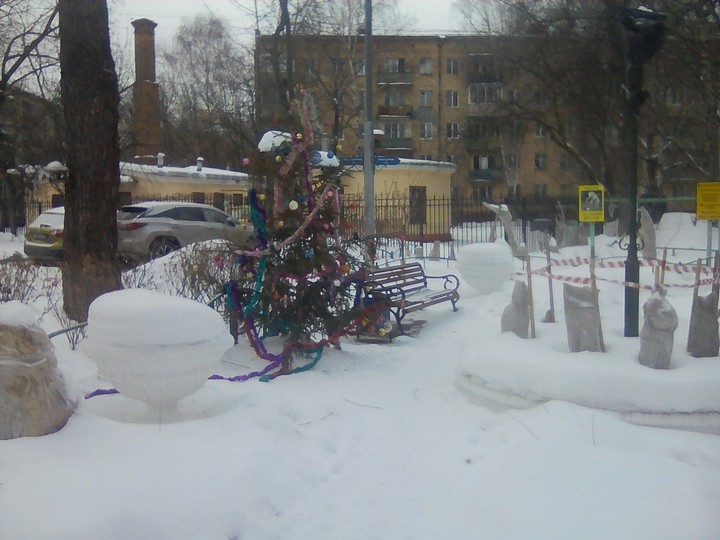 красота зима