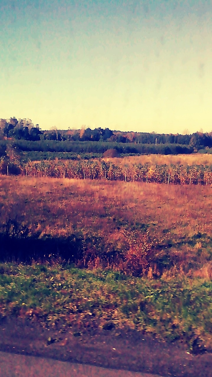 country painting