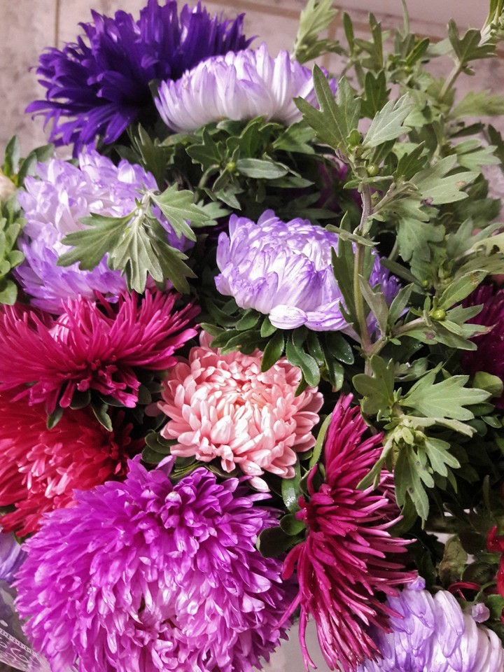 flowers