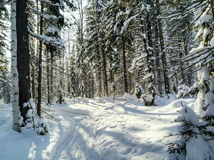 winter