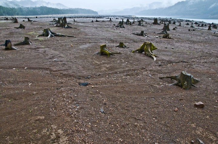 Wasteland