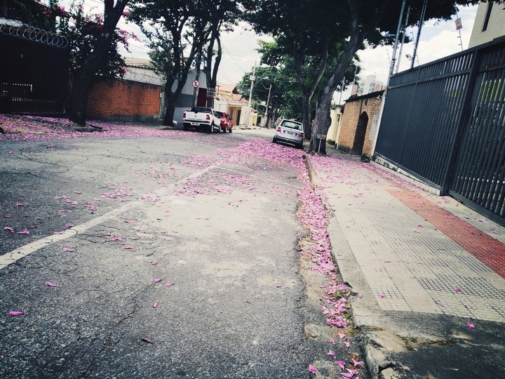 rua