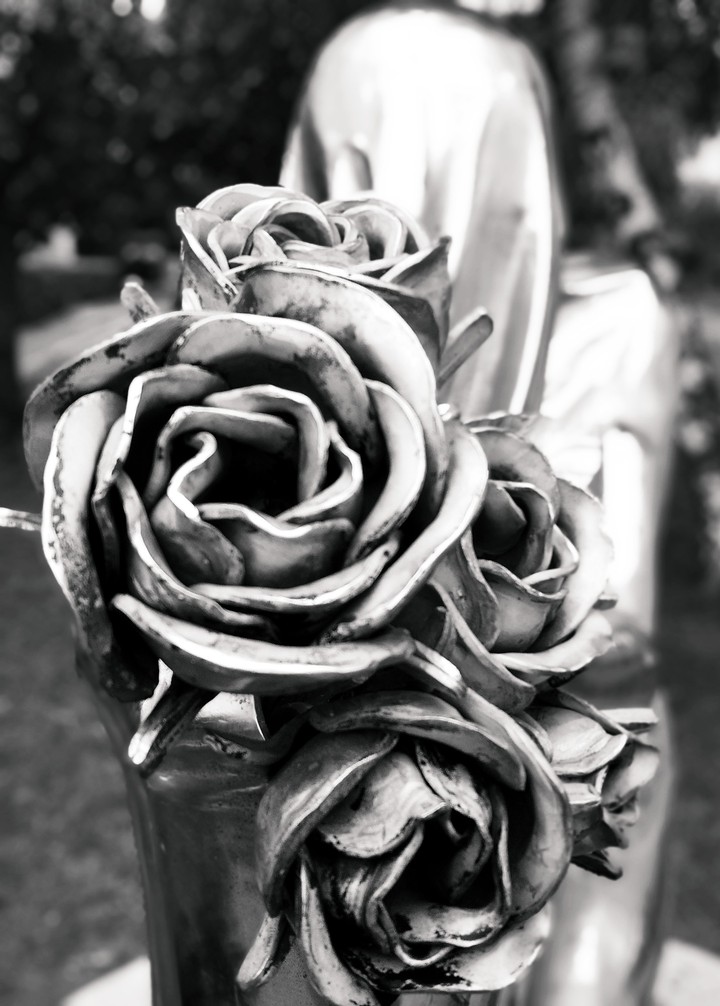 Never wilting roses truly exist