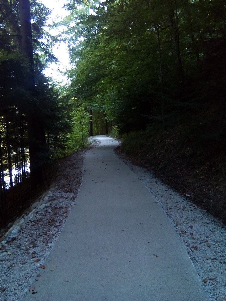 Path