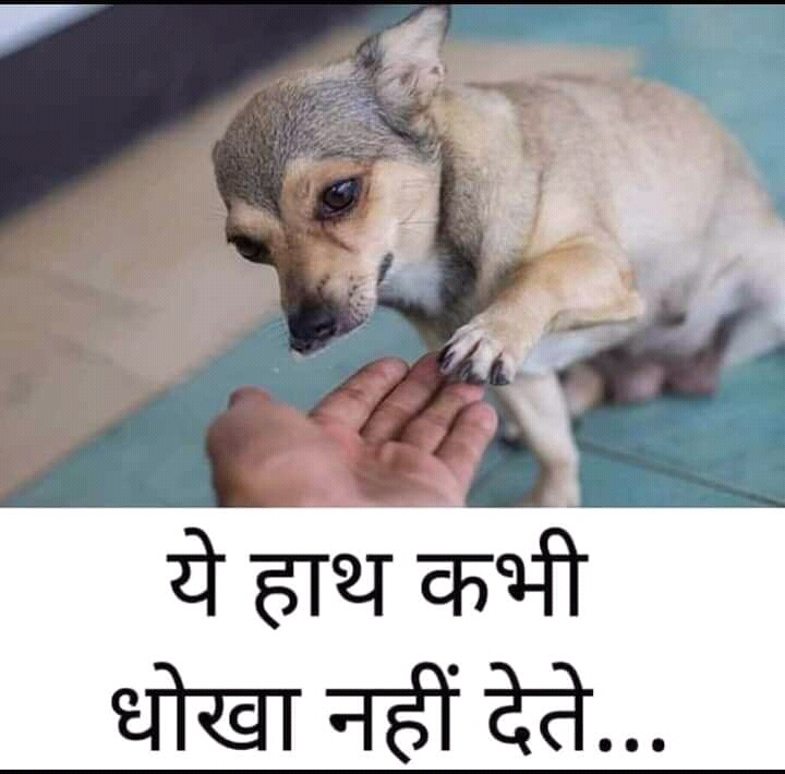 लाइफ की सच्चाई