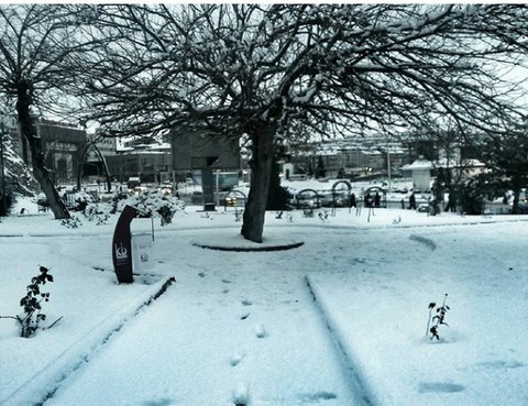blizzard, winter壁纸