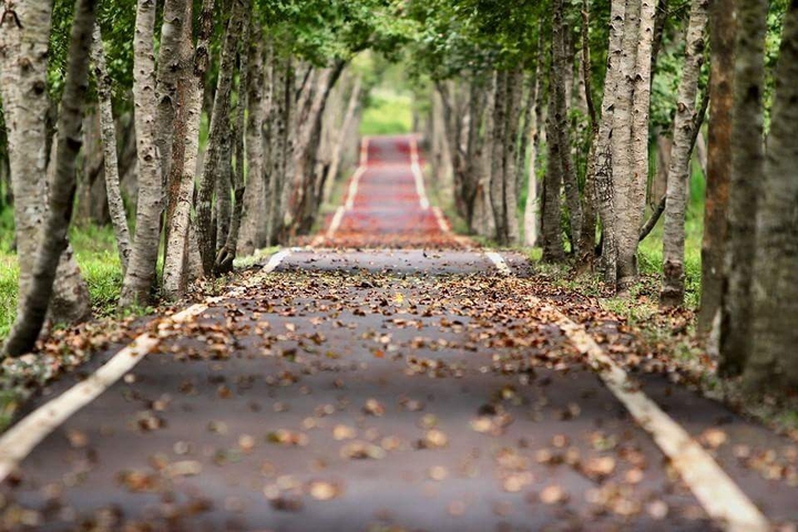 NATURE 4K
