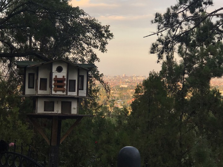 house of bird
