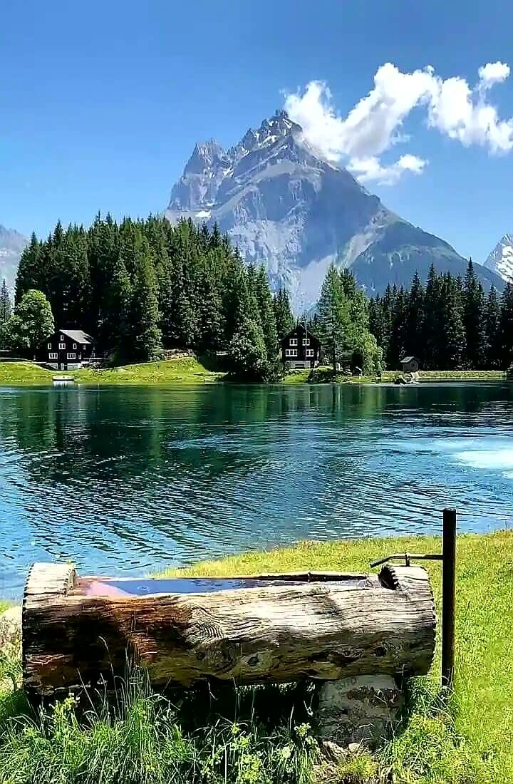 Nice