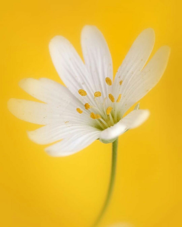 #A Sunny Smiling Thursday