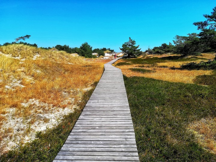 east sea