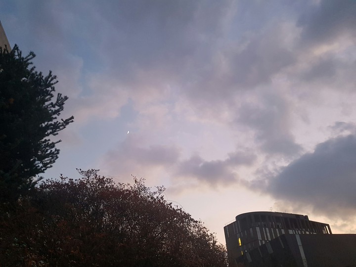 보라빛 하늘..