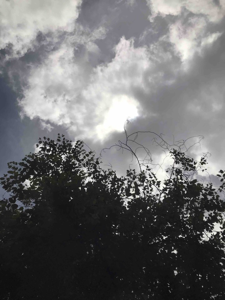 see the light in the sky