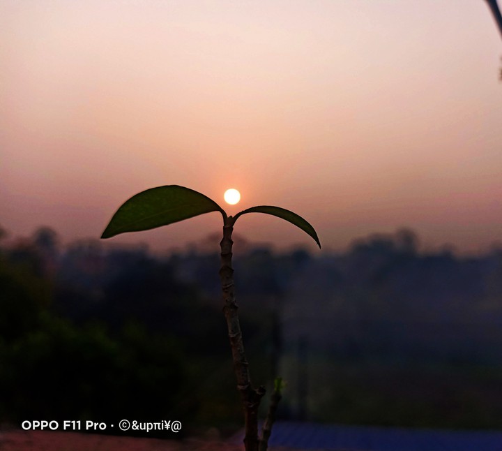 sunrise ?