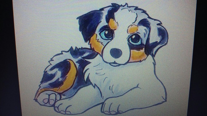 puppy