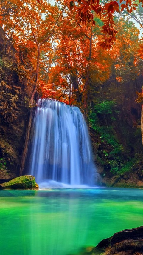 Fall