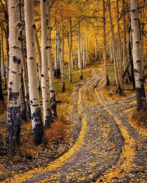 travel, landscape duvar kağıtları