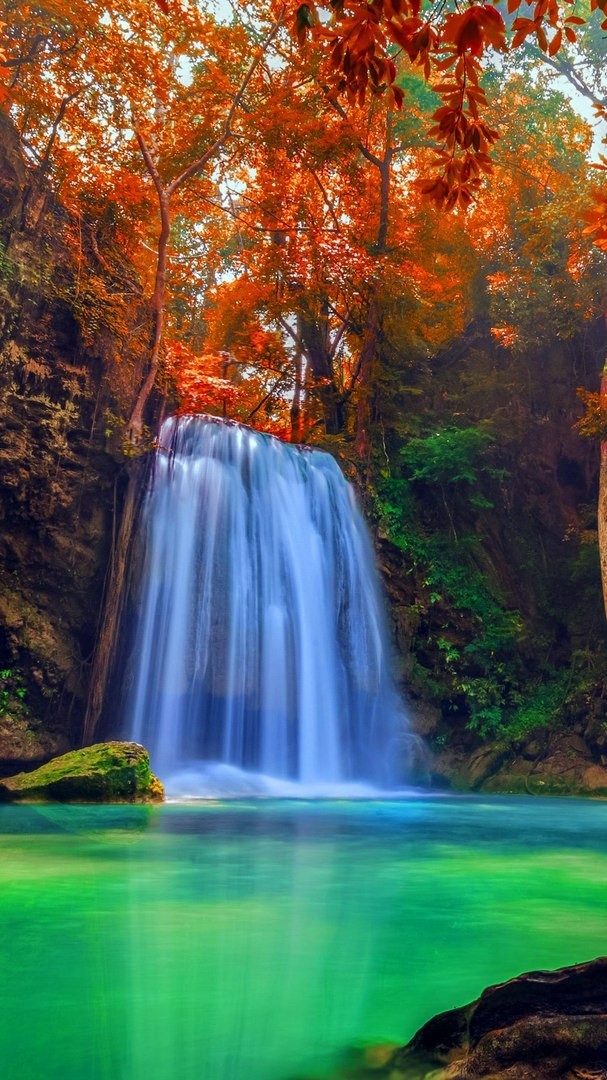 Fall
