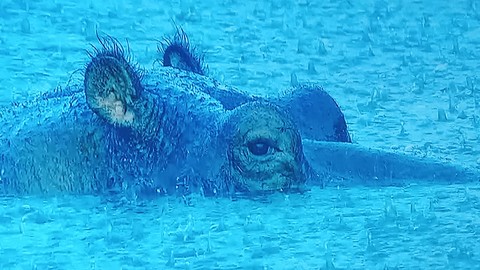 sfondi underwater, Water