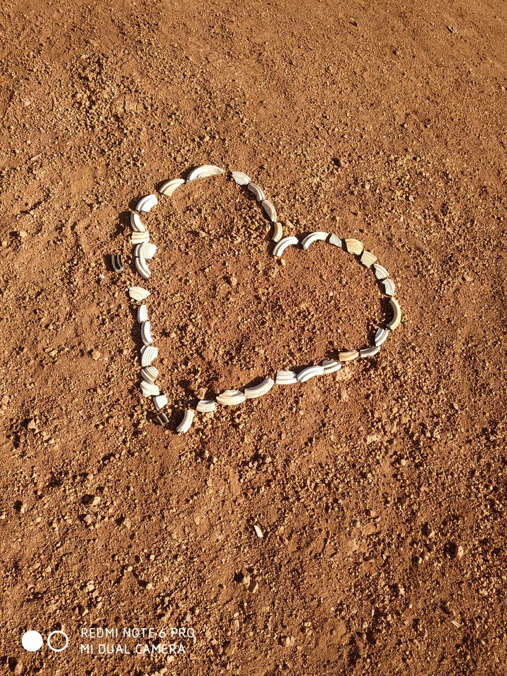 heart
