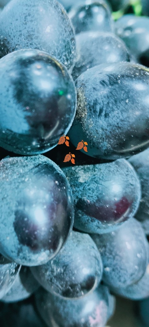 fondos de pantalla fruit, grape