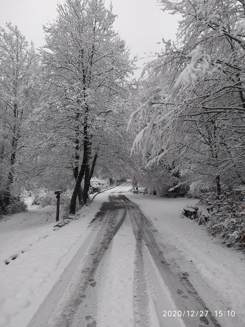 Winter Grey Shadows