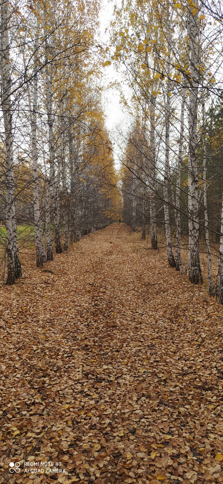 осень