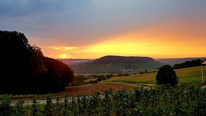 beautiful landscape
