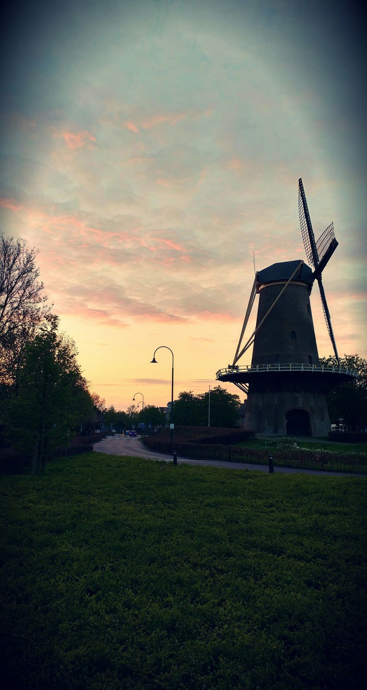 Mill sunset