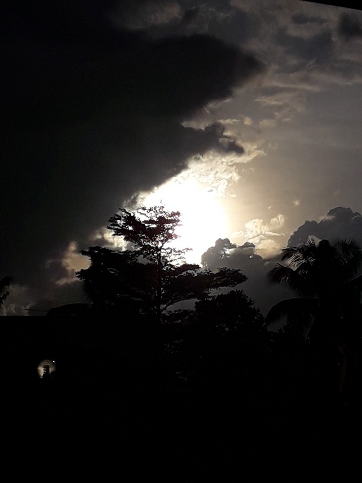 sun