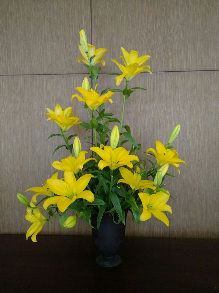 flowers
