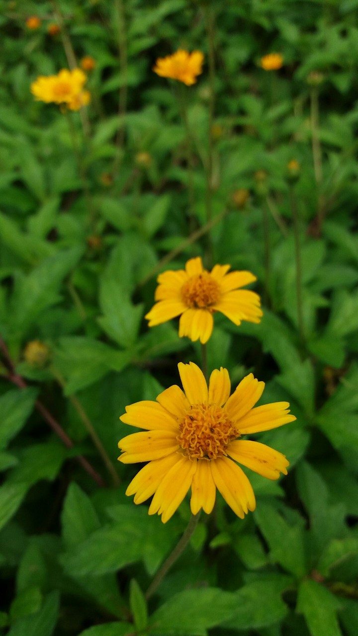 close click