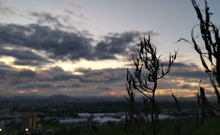 silhouette