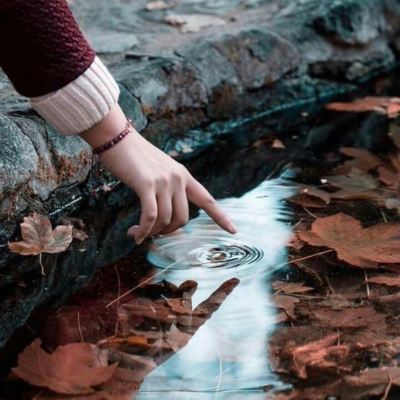 photography