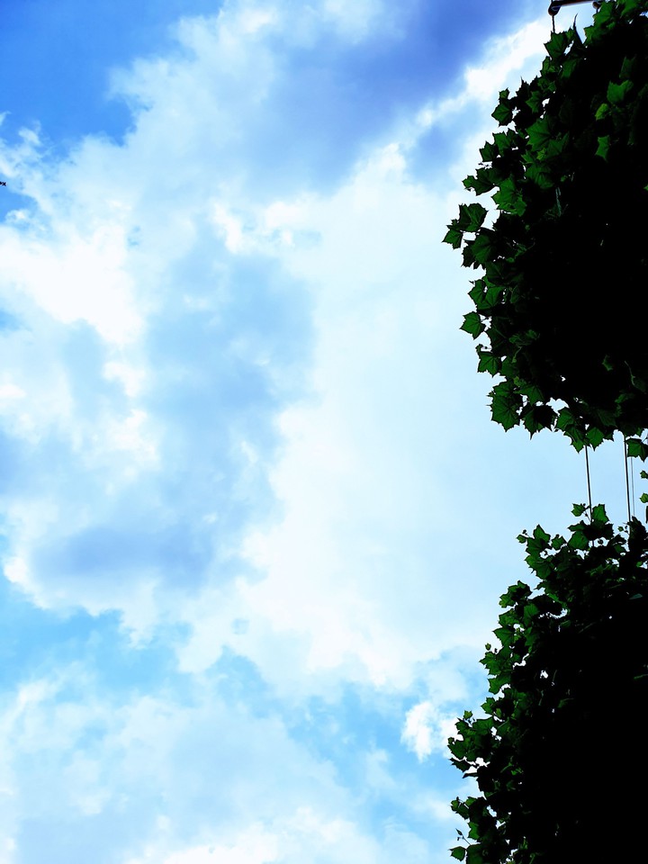하늘 구름 sky