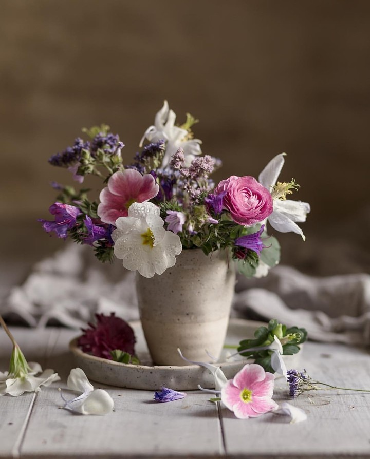stilllife