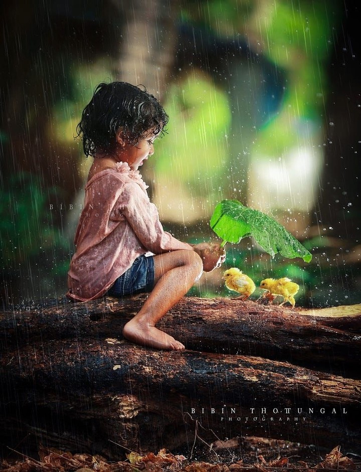 Rainy day